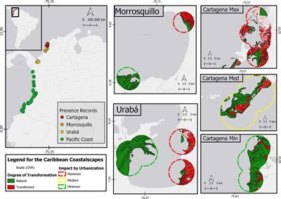 Threatened Mangroves in the Anthropocene: Habitat Fragmentation in Urban Coastalscapes of Pelliciera spp. (Tetrameristaceae) in Northern South America